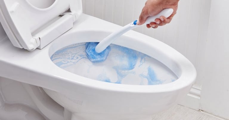 https://southendplumbingllc.com/wp-content/uploads/Flushing-a-clorox-toilet-wand.jpg