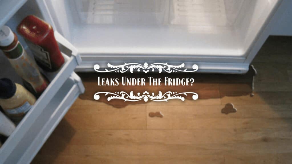 Why Is My Fridge Leaking Gas at Jane Johnson blog