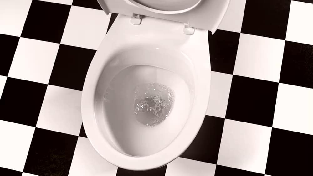 What’s a Slow Flushing Toilet Telling You?